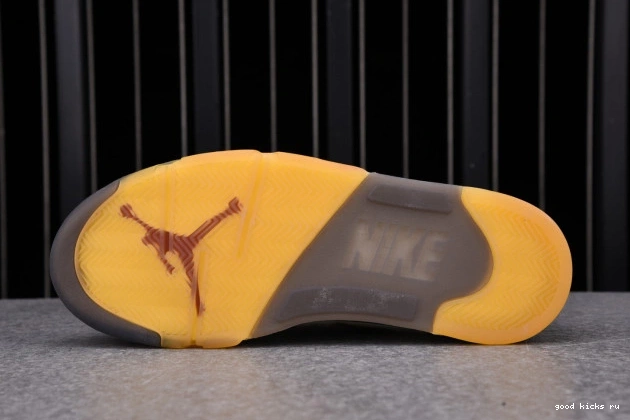 DH8565-100 5 Jordan OFF-WHITE Retro Sail 0808